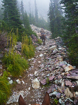 Photo of horse trail in Glacier National Park, Montana, by John Hulsey